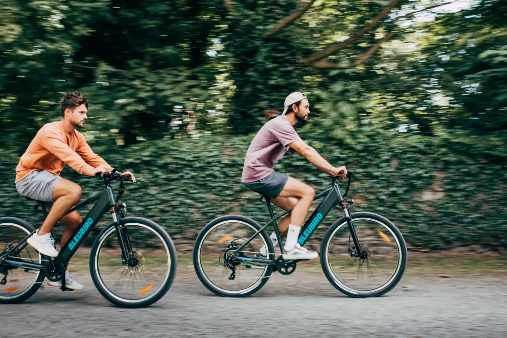 bleubird-summit-hardtail